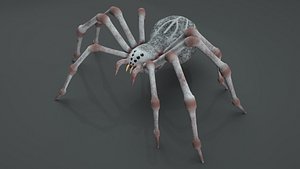 spider rigged 3D model