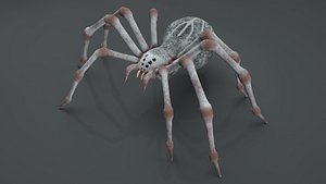 Spider Rigged Animated