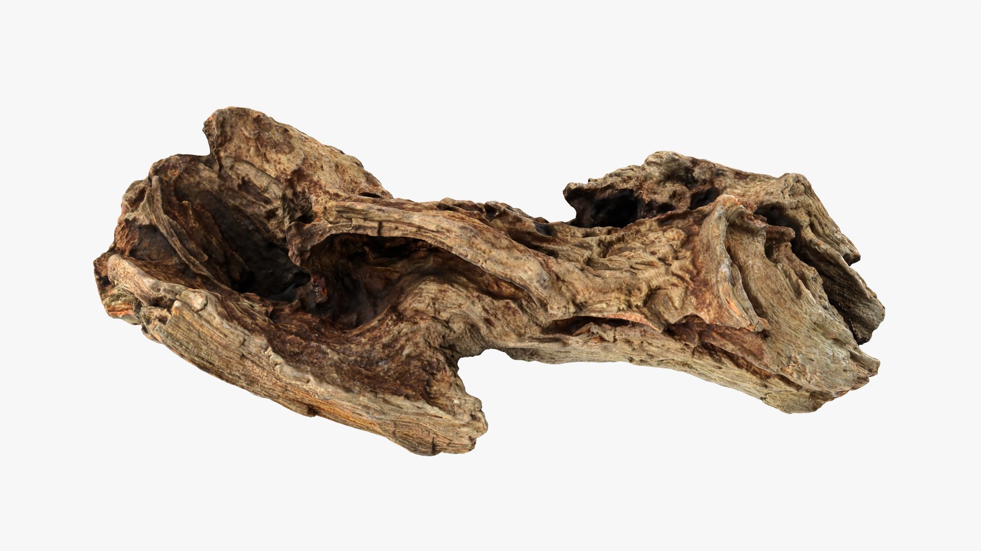 3D Tree Trunk Piece Collection model https://p.turbosquid.com/ts-thumb/sU/YpGQBA/sv/treetrunkpc08_0001/png/1766384608/1920x1080/fit_q87/f0011868317f0aabae638c8d50103c1b71506eca/treetrunkpc08_0001.jpg