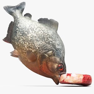 3D model Piranha Eat Attack Animated Rigged For Maya