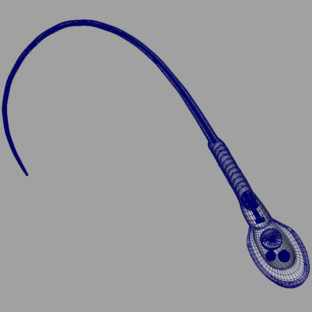 3d obj human sperm cell structure https://p.turbosquid.com/ts-thumb/sU/gAY5su/AiP8heyP/ws1/jpg/1353368719/1920x1080/fit_q87/fd9269969fd459e39d8e8a329f4ea76787accb3d/ws1.jpg