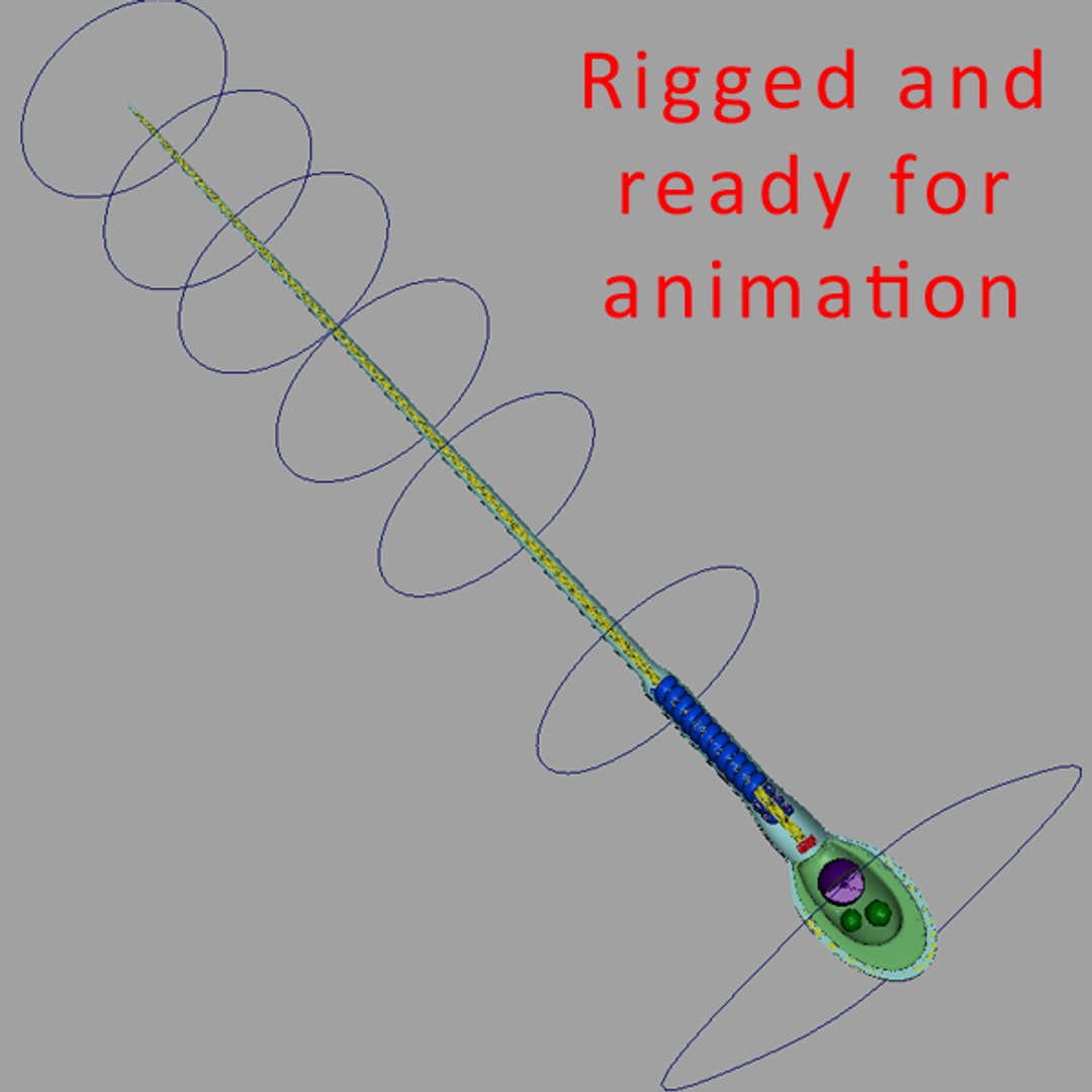 3d obj human sperm cell structure https://p.turbosquid.com/ts-thumb/sU/gAY5su/aWDcVp99/ar/jpg/1354046192/1920x1080/fit_q87/7514db875e8345e8e8f49887804e99301da31406/ar.jpg