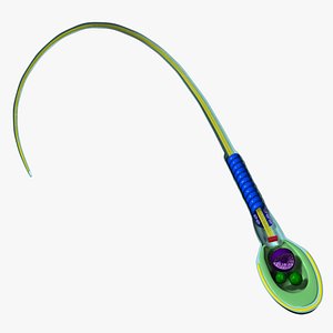 3d obj human sperm cell structure