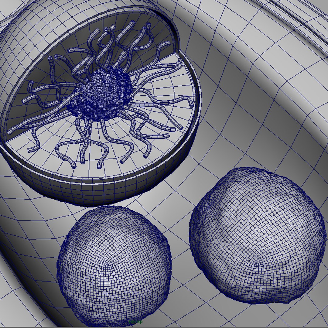 3d obj human sperm cell structure https://p.turbosquid.com/ts-thumb/sU/gAY5su/y4vPxcuH/ws2/jpg/1353368719/1920x1080/fit_q87/34b9c5e474141e63b8664221a1ee4374389f77f2/ws2.jpg