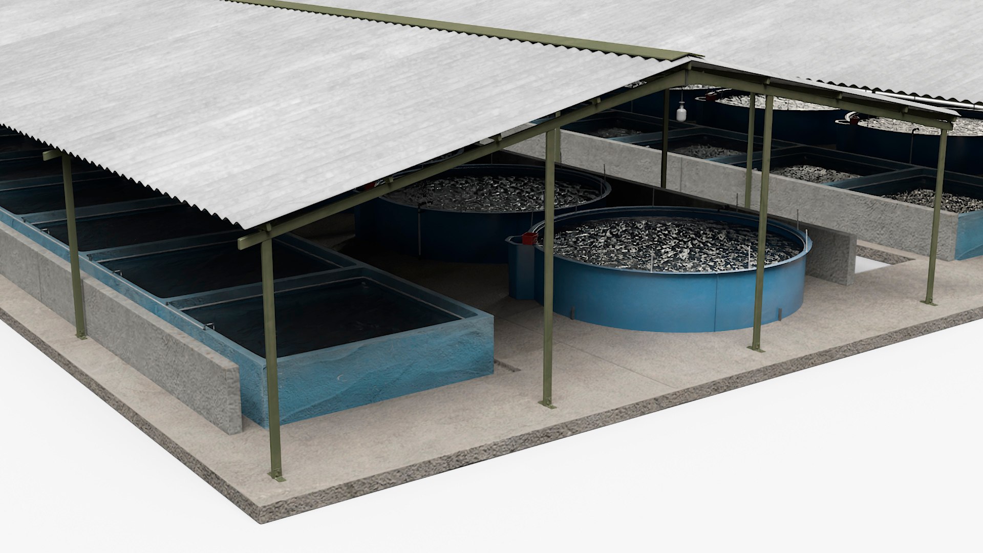 Aquaculture Complex 3D model https://p.turbosquid.com/ts-thumb/sU/kzhFt8/OP/aquaculturecomplexvray3dmodel009/jpg/1726013350/1920x1080/fit_q87/3e3e93943a90e1f0e55898b1f21b600541dd98d3/aquaculturecomplexvray3dmodel009.jpg