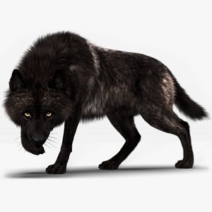 Black Timber Wolf Fur Rigged