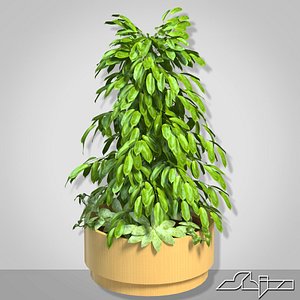 vase big bush 3d 3ds