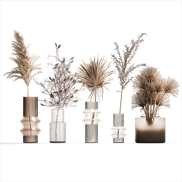 3D Collection of minimalist bouquets of dried flowers pampas vase 323