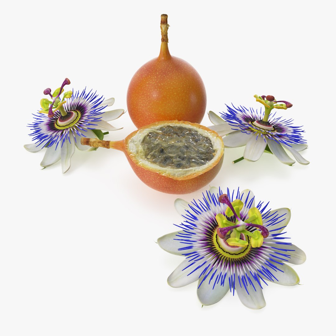 Passion Fruit and Flowers 3D model preview
