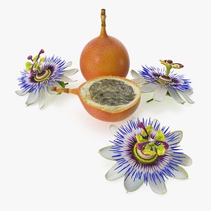 3D Passion Fruit and Flowers