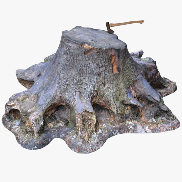 3D Big Old Tree Stump - Game Asset model