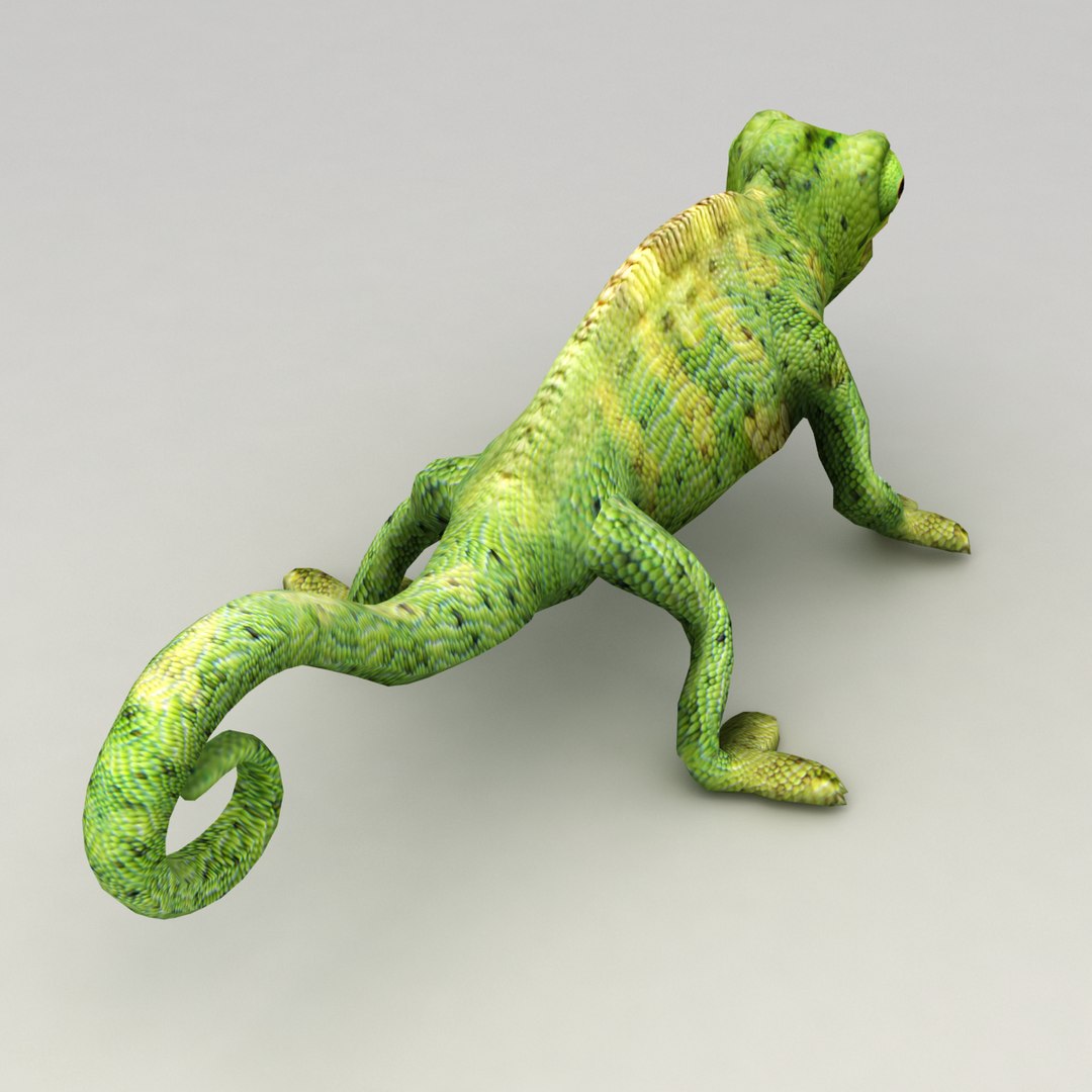 chameleon animation max https://p.turbosquid.com/ts-thumb/sV/sQgBOe/L7Cvtx75/v3/png/1485783040/1920x1080/fit_q87/634d6b1545cbe45361e9f171fecf5ad6ee9b2b6a/v3.jpg