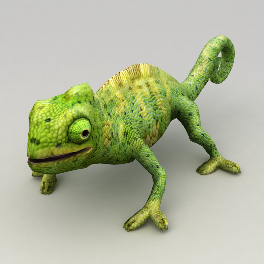 chameleon animation max https://p.turbosquid.com/ts-thumb/sV/sQgBOe/wmxOOkWK/v2/png/1485783040/1920x1080/fit_q87/6355369b673f9ae854a6c60ae2aa3f3291f166b7/v2.jpg