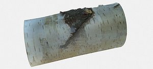 WINTER WOOD LOG 2021 3D model