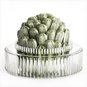 Bouquet Flowers Realistic Cactus minimalist  Modern Vase 615