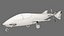 Single-seat aircraft