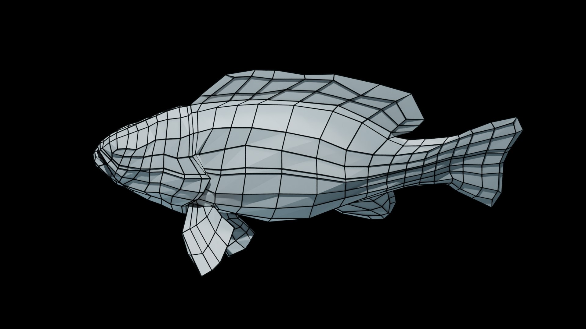 Smallmouth Bass 3D https://p.turbosquid.com/ts-thumb/sW/XM0zLJ/yK/sm3_blk_0011/jpg/1663622176/1920x1080/fit_q87/50d1ae24ab40bcc021d149ec9c998cd1408095dc/sm3_blk_0011.jpg