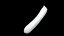 Zucchini 3D CT scan model decimate 01 percent
