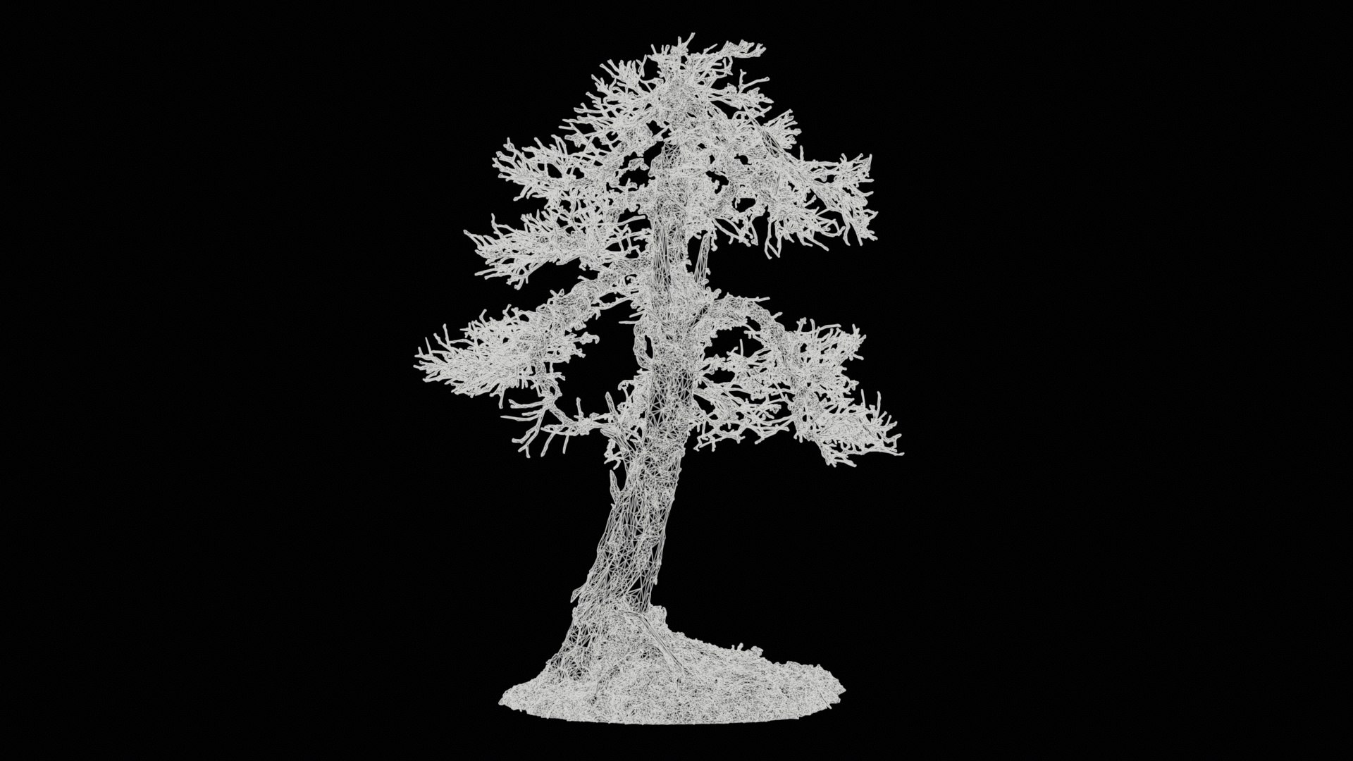 Dead Bonsai Tree 4 Remastered model https://p.turbosquid.com/ts-thumb/sW/h0FpMR/Nw/dead_bonsai_tree_4_11/jpg/1740407719/1920x1080/fit_q87/8c9b488425b606df76f77cd15d7cf37ff1c835f0/dead_bonsai_tree_4_11.jpg