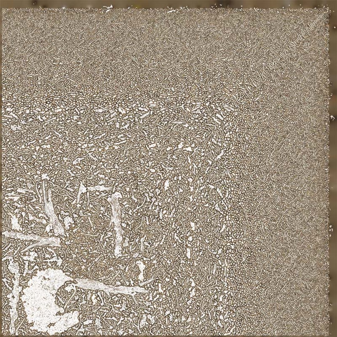 Dead Bonsai Tree 4 Remastered model https://p.turbosquid.com/ts-thumb/sW/h0FpMR/ph/dead_bonsai_tree_4_uv/jpg/1740407727/1920x1080/fit_q87/83e25eb972a0a95d72220c900caad6f1cd083ffc/dead_bonsai_tree_4_uv.jpg