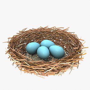 Bird Nest With Eggs