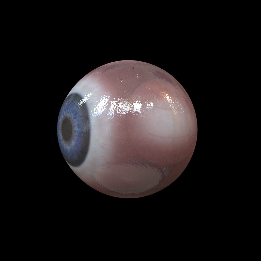 Eye Cornea 3d Model