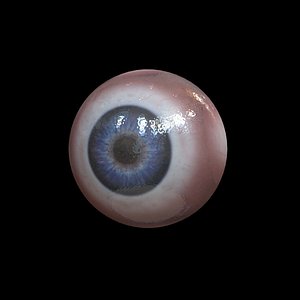 eye cornea 3d model