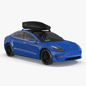 Tesla with Thule Car Roofbox on Roof Rack