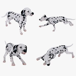 dog dalmatian spotty dog 3D