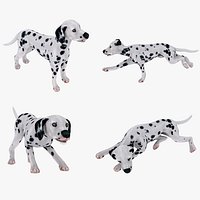 dog dalmatian spotty dog
