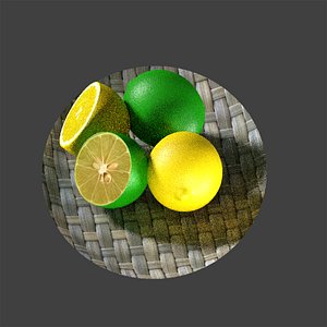 nicely 3d model