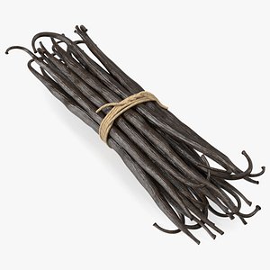 Vanilla Sticks Bunch 3D model