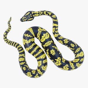 Rigged Zebra Jungle Carpet Python
