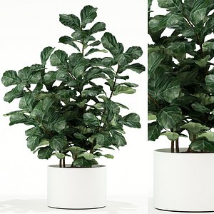 3D plants 98
