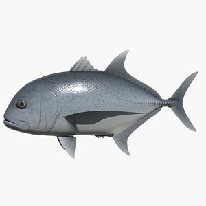 Giant trevally