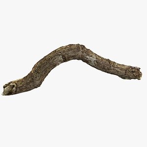 3d model of realistic stick