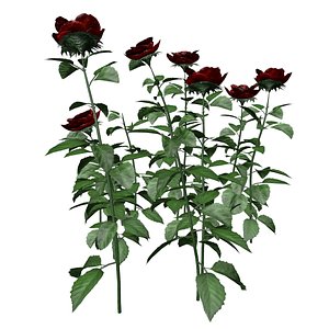 3D model Red Rose Patch - 01 -