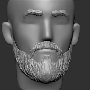 Beard mustache eyebrows Hairstyle man