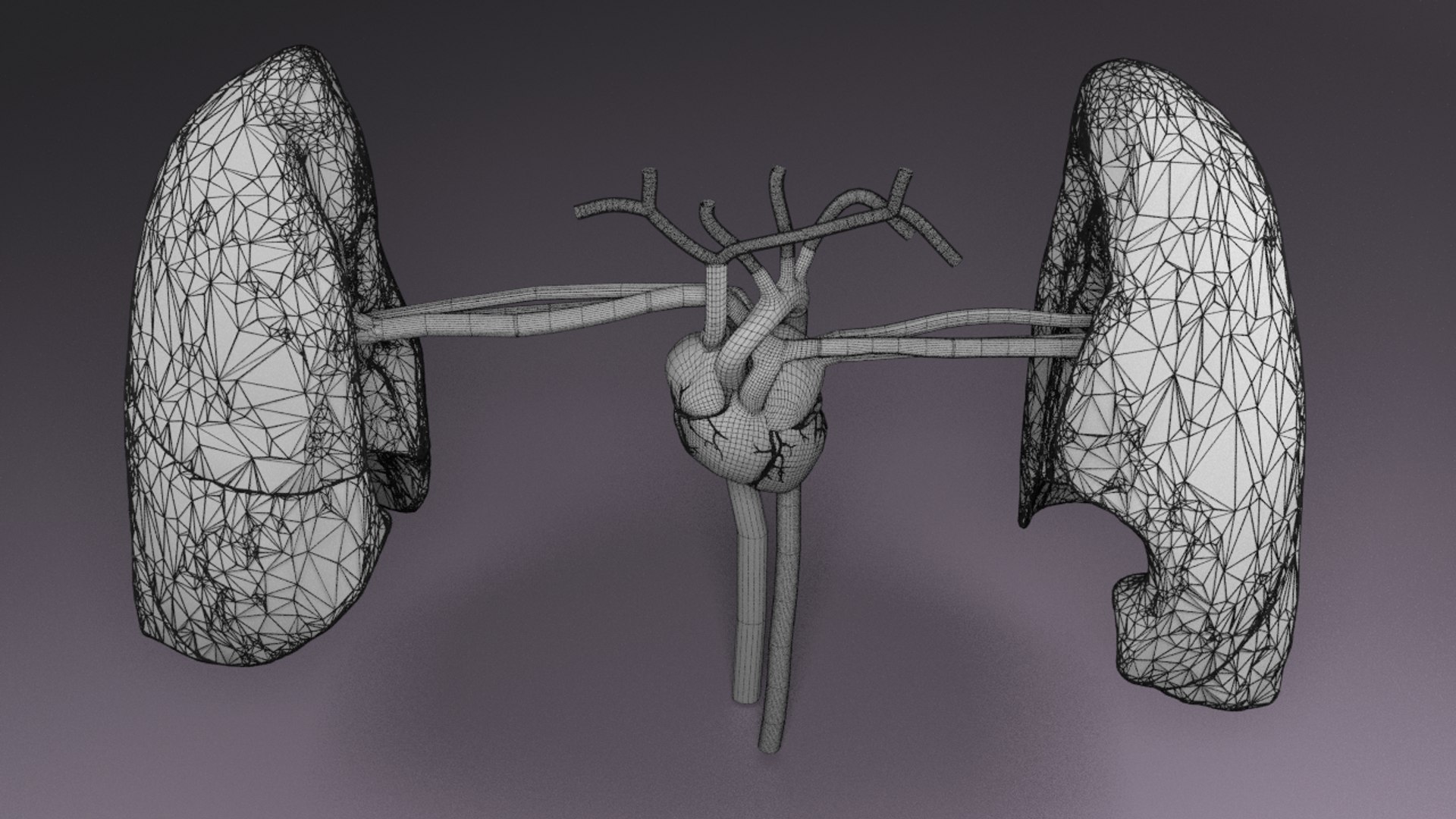 3D flow blood heart lung https://p.turbosquid.com/ts-thumb/sY/8auT80/5o0Pz9mU/w/png/1542601402/1920x1080/fit_q87/d46cdf1083a487801b14e727c724de552452bef3/w.jpg