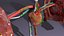 Cardio pulmonary circulation heart lung blood flow animated