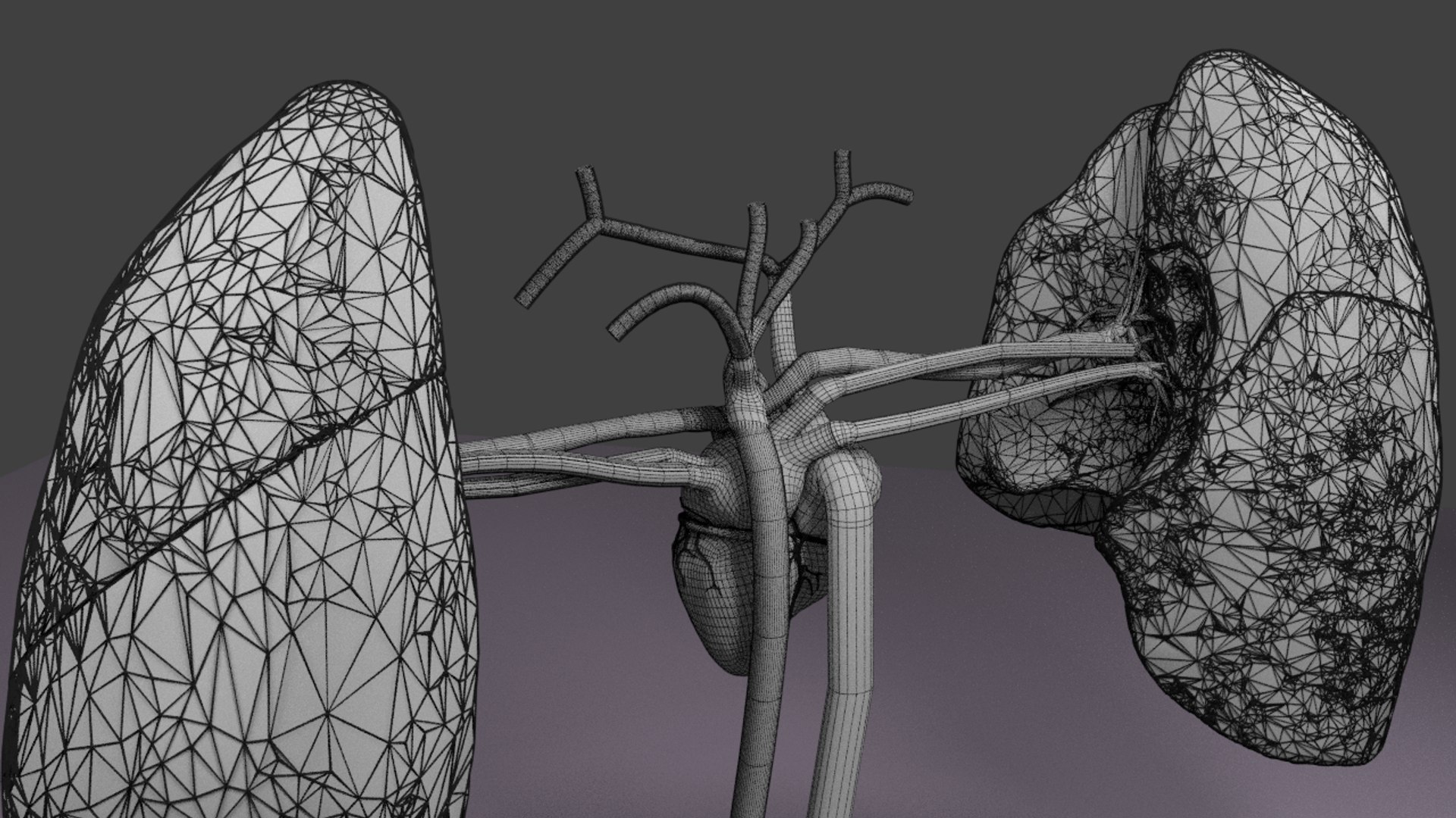 3D flow blood heart lung https://p.turbosquid.com/ts-thumb/sY/8auT80/Y2qouXhf/w4/png/1542601402/1920x1080/fit_q87/c825092e2a45cbe9780df7fd931a0d1f47dee65d/w4.jpg