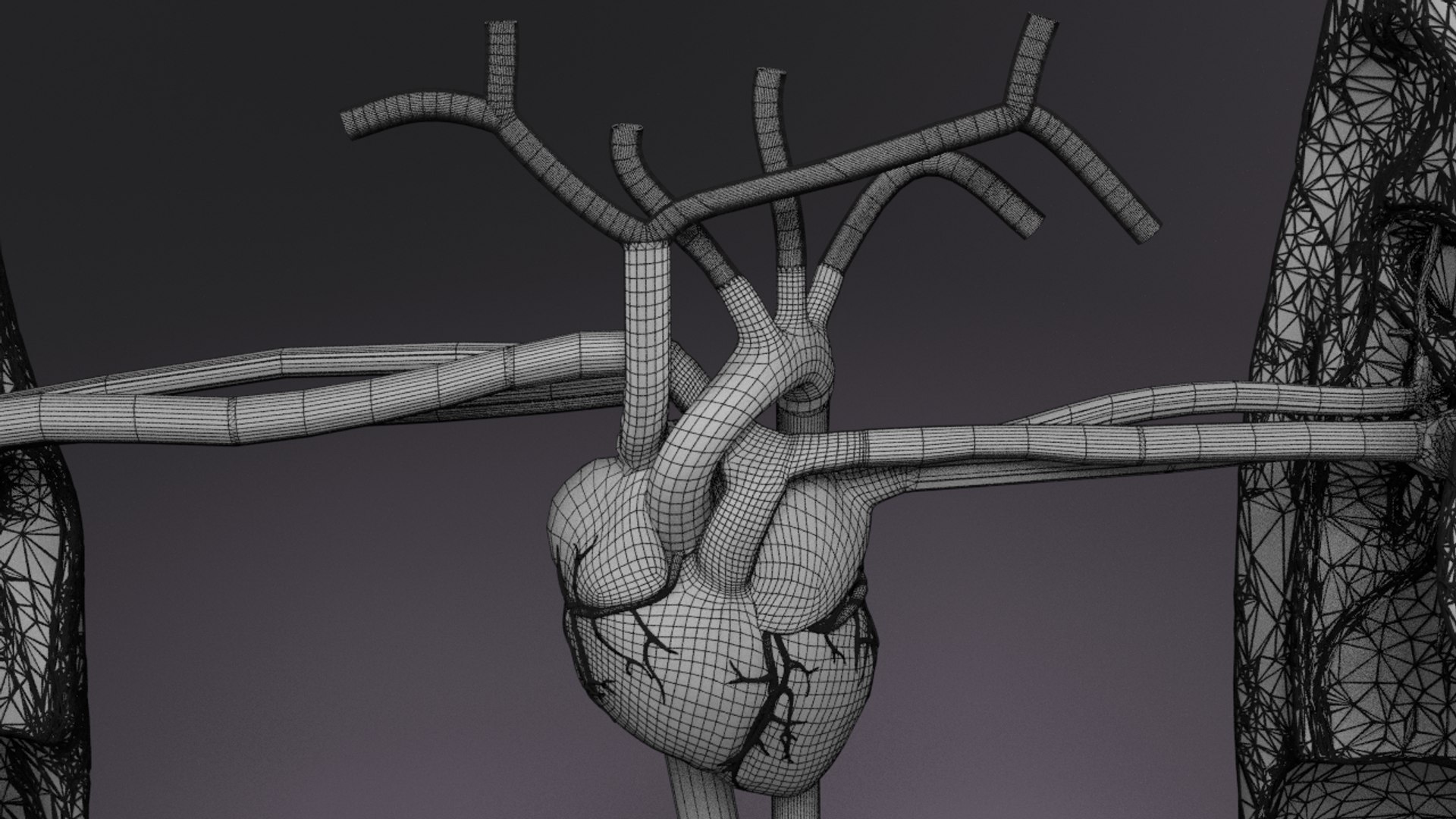 3D flow blood heart lung https://p.turbosquid.com/ts-thumb/sY/8auT80/Yd8MX6oG/w2/png/1542601402/1920x1080/fit_q87/15e988c9a20e7bd1a841743efe0ad063e9f349f0/w2.jpg