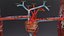 Cardio pulmonary circulation heart lung blood flow animated