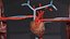 Cardio pulmonary circulation heart lung blood flow animated