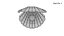Blue Sea Shell