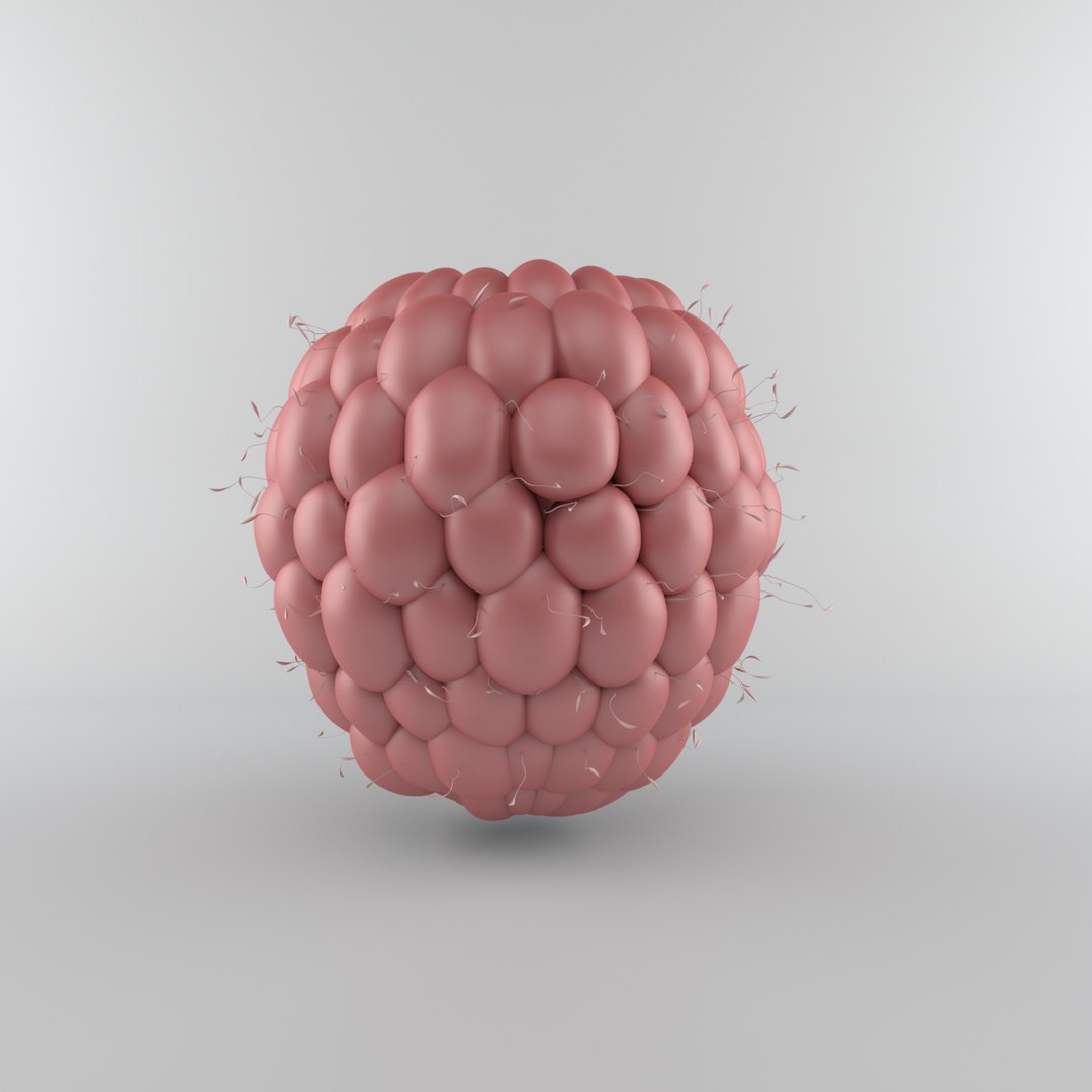 3D Model Raspberry Berry Cartoon - TurboSquid 1459971