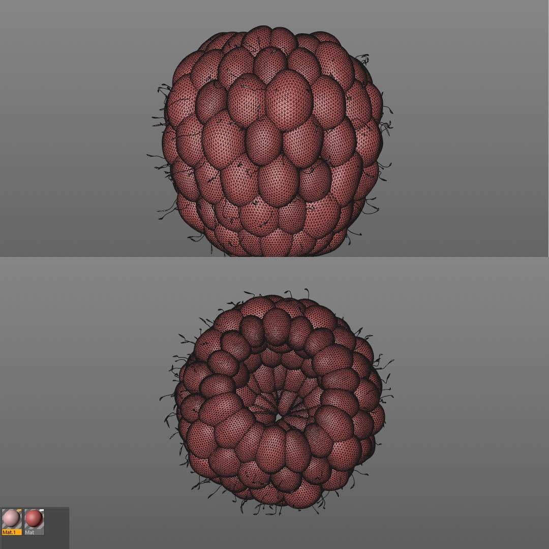 3D Model Raspberry Berry Cartoon - TurboSquid 1459971