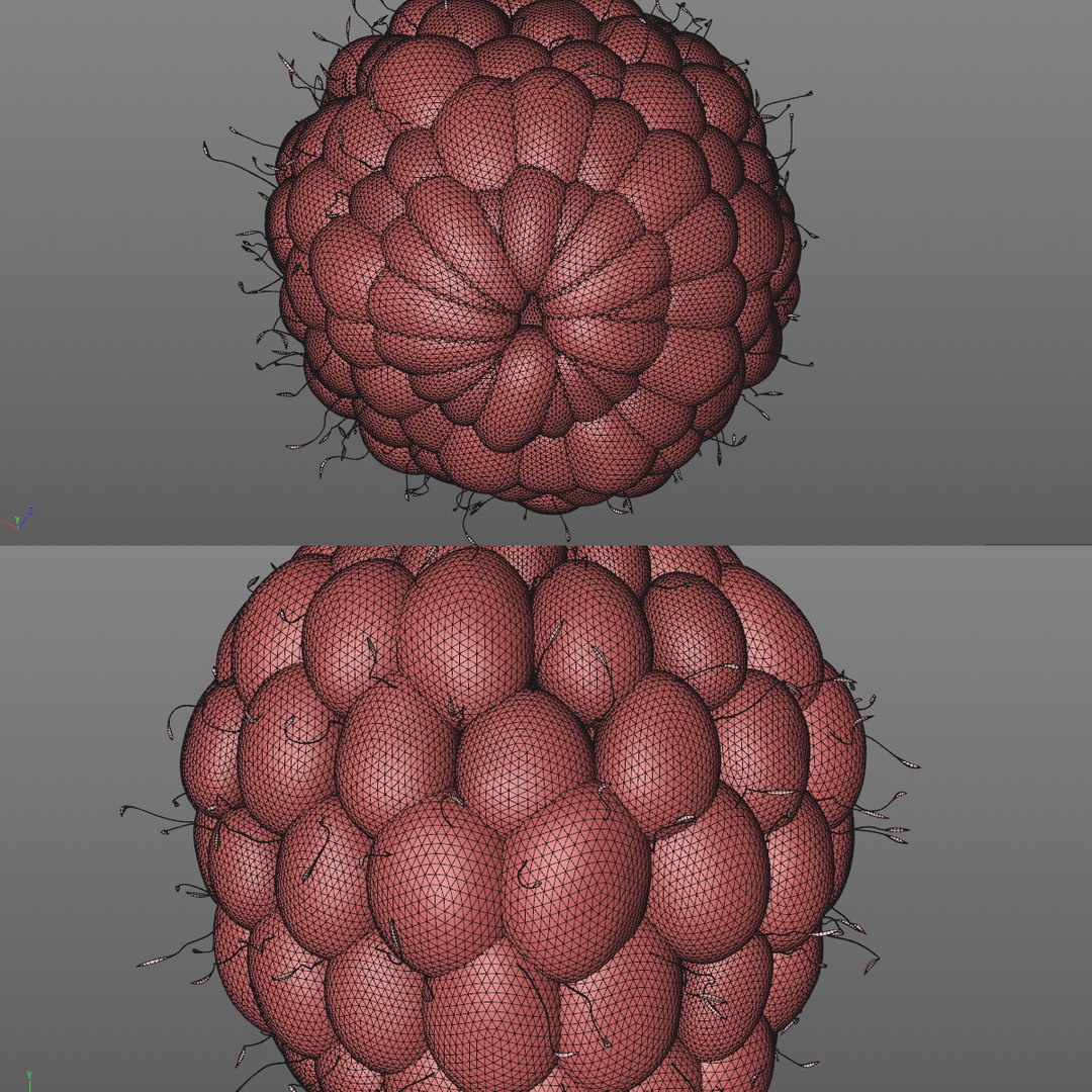 3D Model Raspberry Berry Cartoon - TurboSquid 1459971