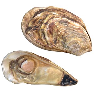 Oyester