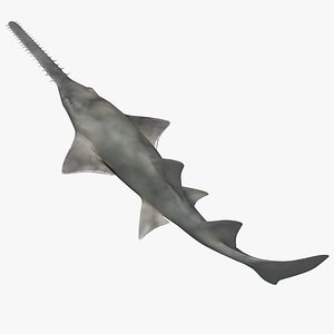Sawfish Rigged for Modo